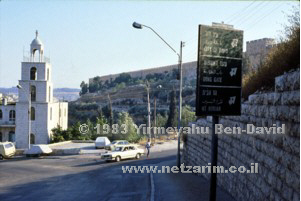 Har ha-Bayit (Har Moriyah) from Qidron Valley